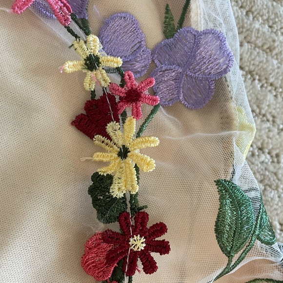 Taylor Swift Grammy Inspired Appliqué Floral Sheer Dress With Open Back Large - Picture 11 of 16